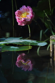 Enlarge photo 153