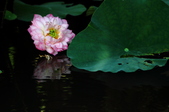 Enlarge photo 154