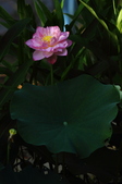 Enlarge photo 150