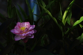 Enlarge photo 148