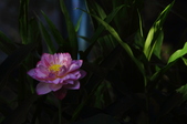 Enlarge photo 147
