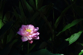 Enlarge photo 146