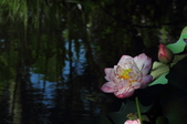 Enlarge photo 143