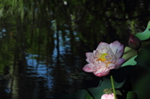 Enlarge photo 140