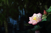 Enlarge photo 139