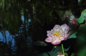 Enlarge photo 130