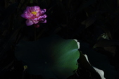 Enlarge photo 123
