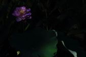 Enlarge photo 111