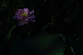 Enlarge photo 104