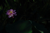 Enlarge photo 98