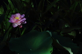 Enlarge photo 94