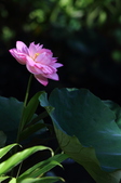 Enlarge photo 84