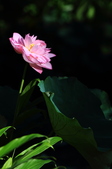 Enlarge photo 82