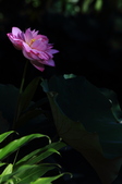 Enlarge photo 80