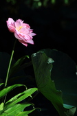 Enlarge photo 77