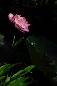 Enlarge photo 76
