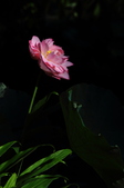 Enlarge photo 75