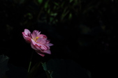 Enlarge photo 72