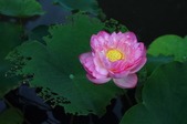 Enlarge photo 67