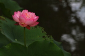 Enlarge photo 57