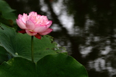 Enlarge photo 56