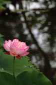Enlarge photo 55