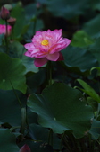 Enlarge photo 47