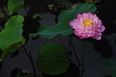 Enlarge photo 38