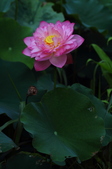 Enlarge photo 37