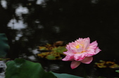 Enlarge photo 35