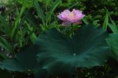 Enlarge photo 33