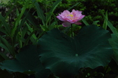 Enlarge photo 32