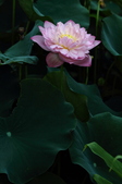 Enlarge photo 40