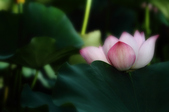 Enlarge photo 38