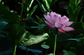 Enlarge photo 36