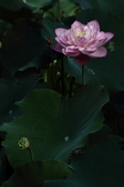 Enlarge photo 34
