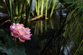 Enlarge photo 71
