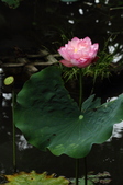 Enlarge photo 68