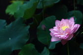 Enlarge photo 28