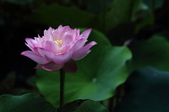 Enlarge photo 27