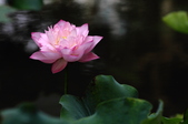 Enlarge photo 57