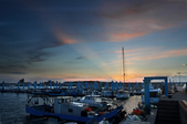 Enlarge photo 170