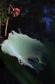 Enlarge photo 157