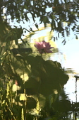 Enlarge photo 152