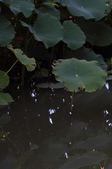 Enlarge photo 147