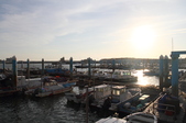 Enlarge photo 141