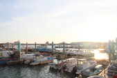 Enlarge photo 135