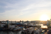 Enlarge photo 133