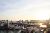 Enlarge photo 132