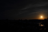 Enlarge photo 128